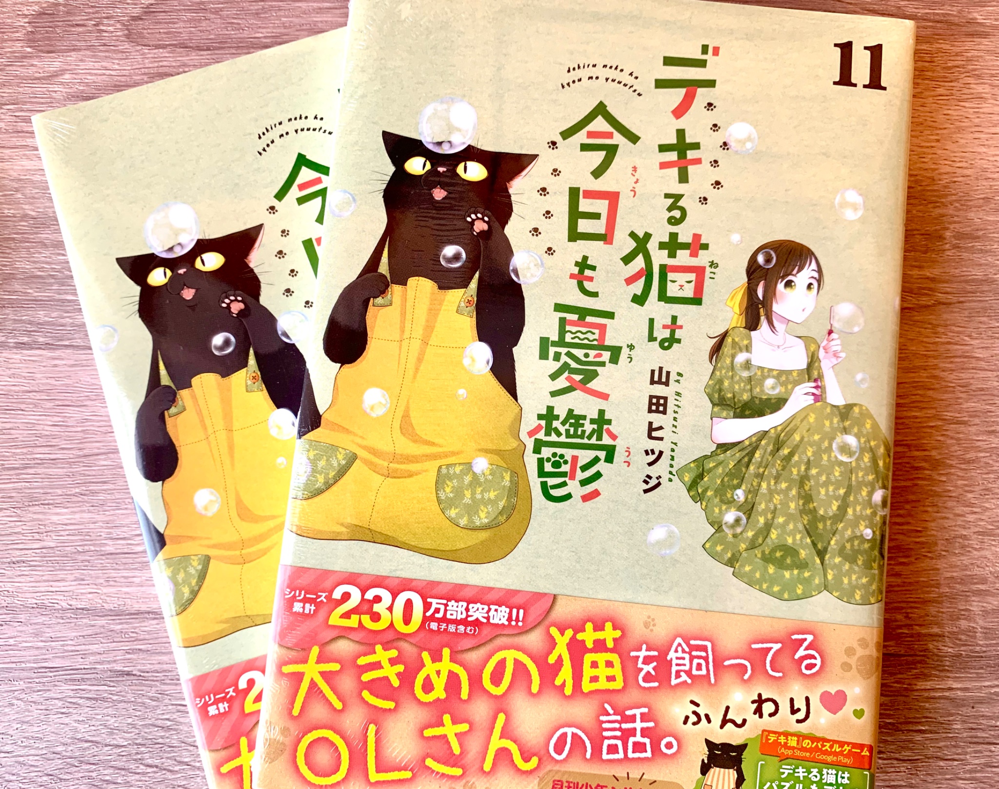 デキる猫は今日も憂鬱 全巻セット（1-11巻 最新刊） | 八文字屋