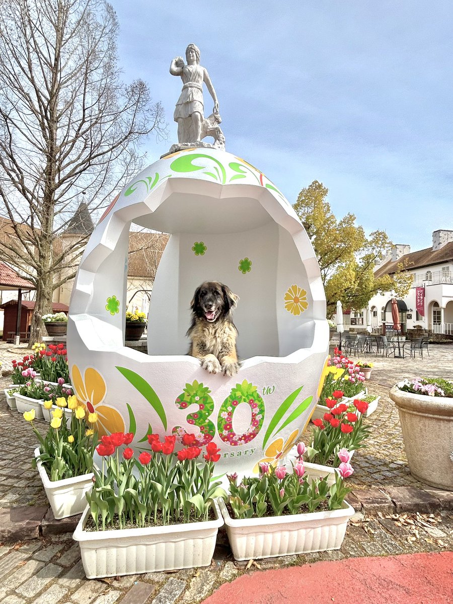 4/13（日）は『しっぽいち』🐶💞 〜犬と犬を愛する全てのヒトのための