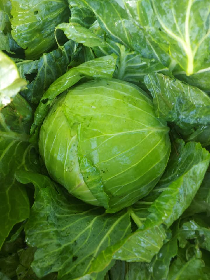 The Home Of Customer Satisfaction.
Customer Service: 0731440461

FRESH/HEALTHY/CONVENIENT