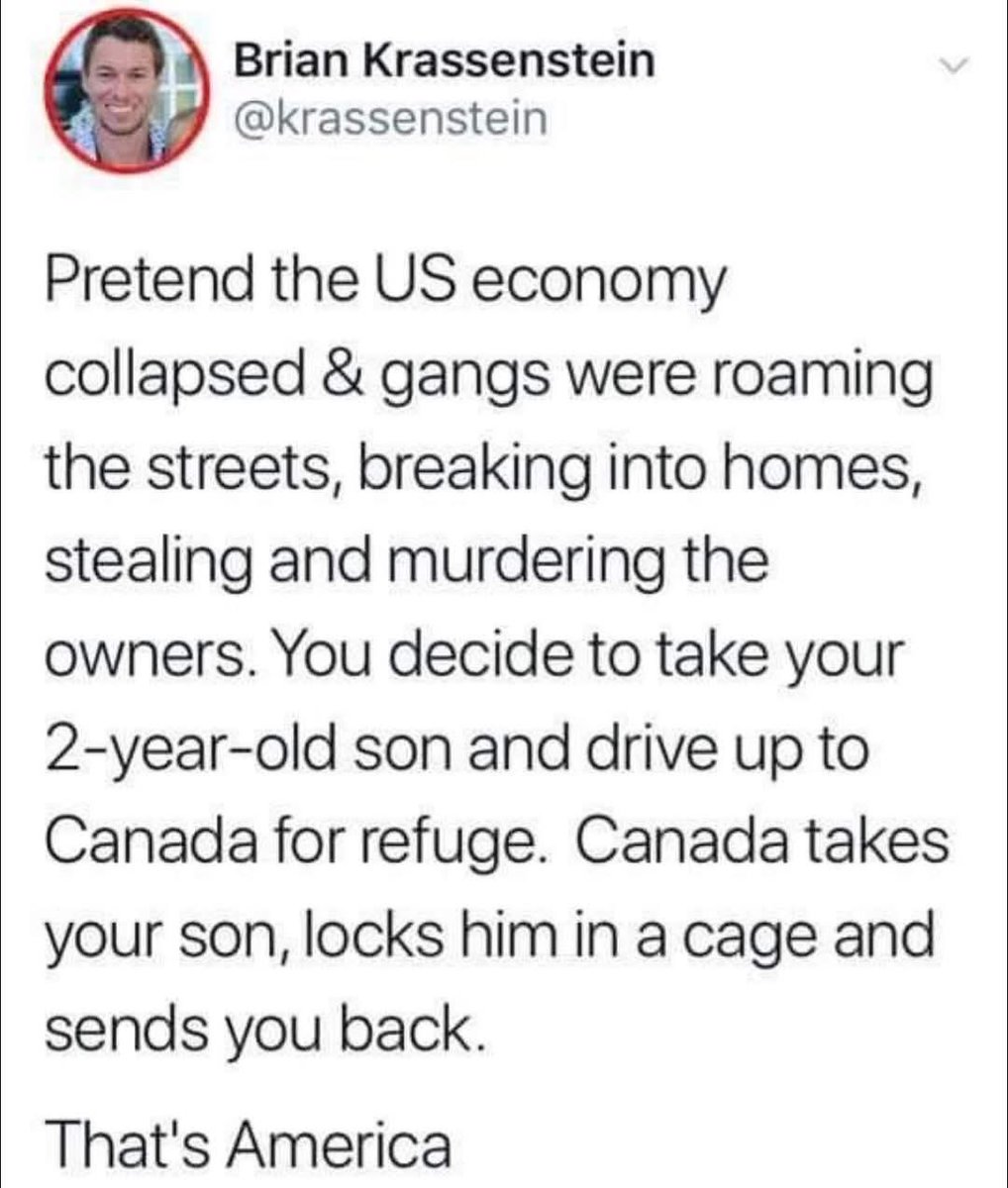 Smudge The Insult Cat 🐀 (@dissentingcat) on Twitter photo 