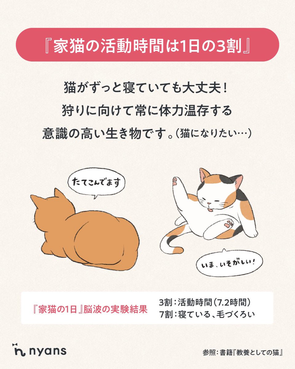 猫はずっと寝ているけど 大丈夫🐈🐈‍⬛？？ ＼ 何をしても可愛くて
