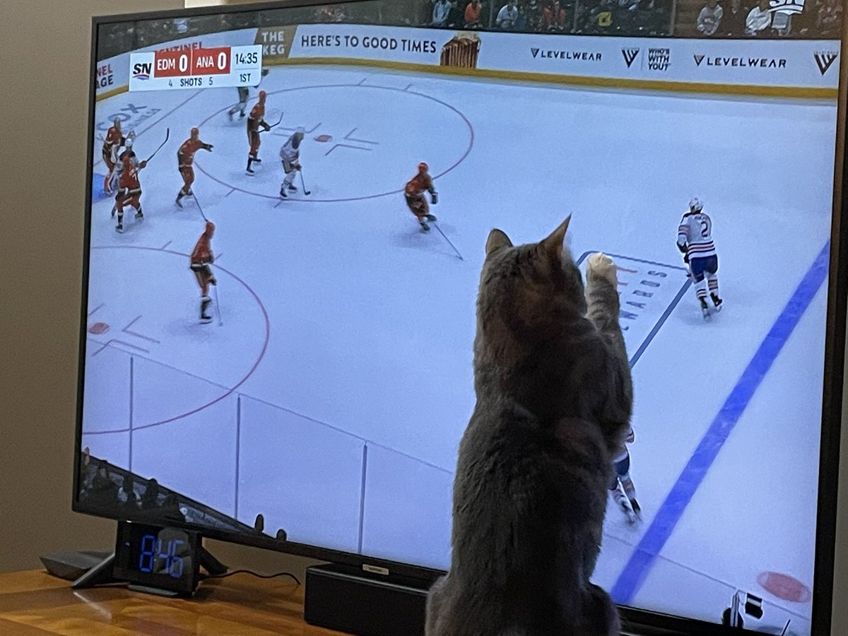 Madam Court Reporter 🇨🇦 tweet media