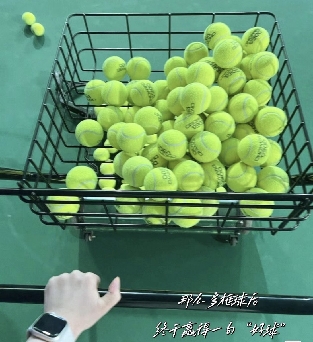 juice7588's tweet photo. 一日之计在于晨~ https://t.co/48Q7RVIa14