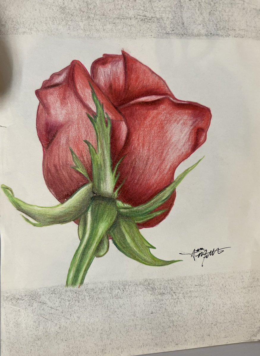 jiminsberri's tweet photo. Explore more unique artwork in my Etsy shop and find something special for your collection! #ArtThatSpeaks #Painting #EtsyShop #SupportArtists #PencilArt #DetailedDrawings #EtsyShop #ArtLovers #artisticdrawing #art #graphiteart #pencil #floralart #flowers #artwork #artsy #drawing https://t.co/HOhzX4PeJL