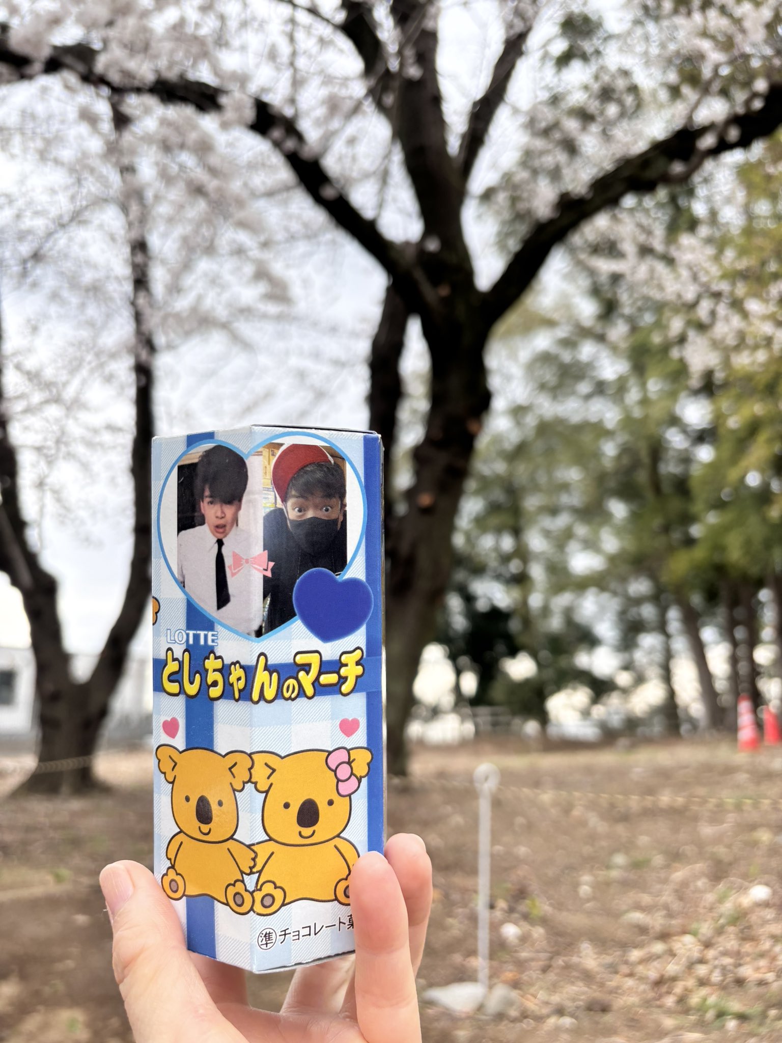 としちゃん - Search / X