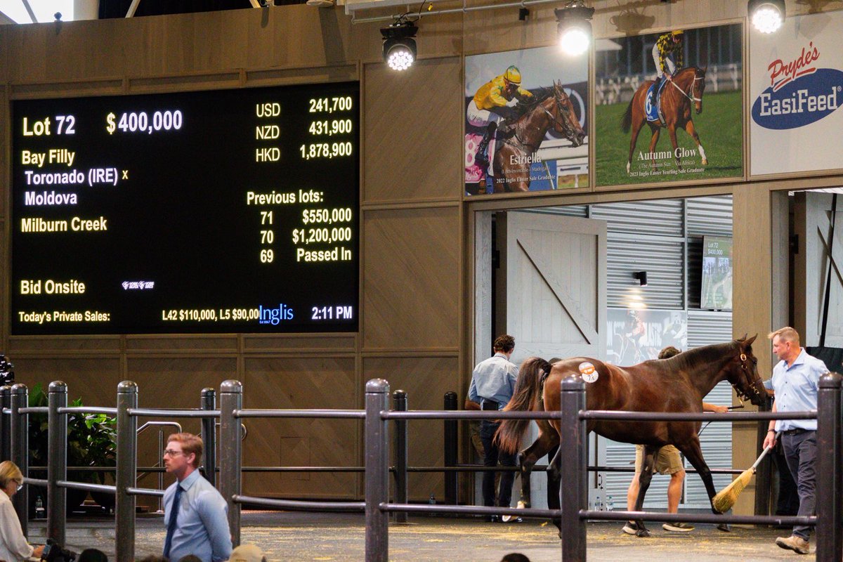 Milburn Creek Stud (@milburn_creek) on Twitter photo ⭐Consigned on behalf of breeder <a href="/MakybeS/">MAKYBE</a>, the Toronado half-sister to G1 winner Captured By Love sells for $400,000 <a href="/inglis_sales/">Inglis</a> Easter, knocked down to <a href="/shanemcgrath78/">Shane McGrath Bloodstock</a> and <a href="/cmcdonaldracing/">C McDonald Racing</a>. ⭐Consigned on behalf of breeder <a href="/MakybeS/">MAKYBE</a>, the Toronado half-sister to G1 winner Captured By Love sells for $400,000 <a href="/inglis_sales/">Inglis</a> Easter, knocked down to <a href="/shanemcgrath78/">Shane McGrath Bloodstock</a> and <a href="/cmcdonaldracing/">C McDonald Racing</a>.