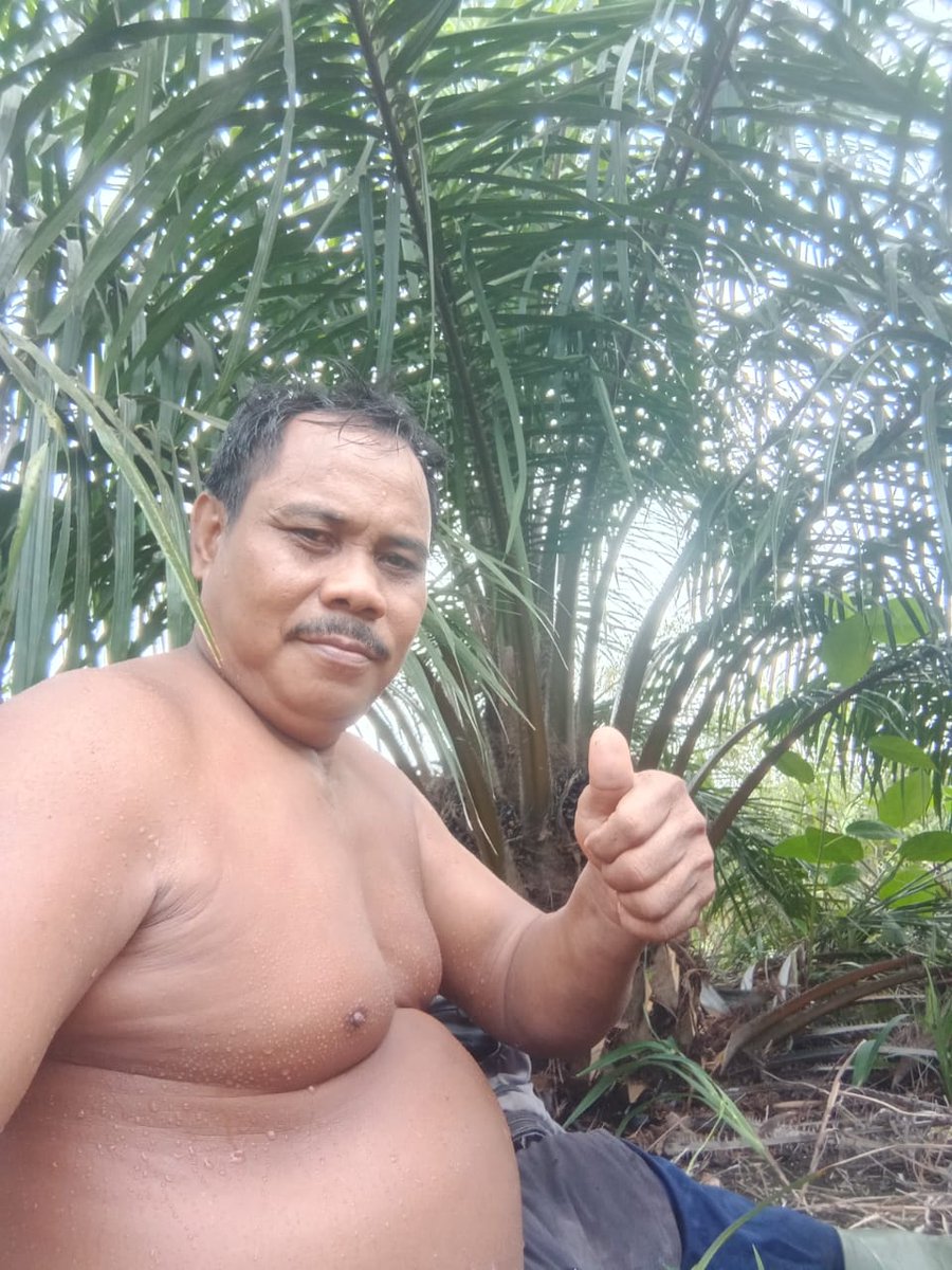 MarkusPangpo's tweet photo. Liat kebun sawit https://t.co/Ujc9j20Ynf