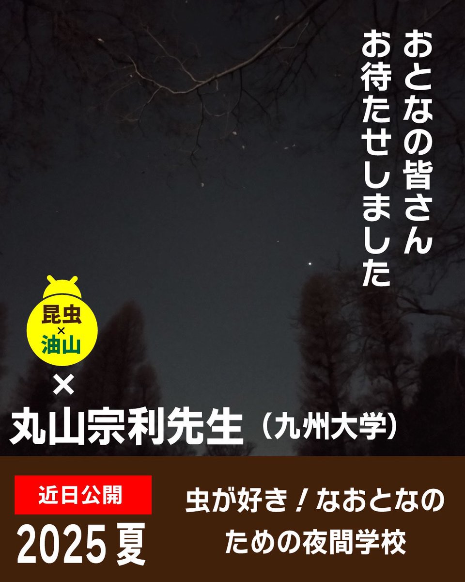 \今後開催予定/

昨年「虫が好き！な小中学生のための1日学校」を開催した時に「大人だって参加したい！」という声をいただきました。

その声にお応えしたく、丸山先生に相談したところ、今夏、夢の企画が実現します。
虫が好き！なおとなの皆さん、情報公開まで今しばらくお待ちくださいませ！