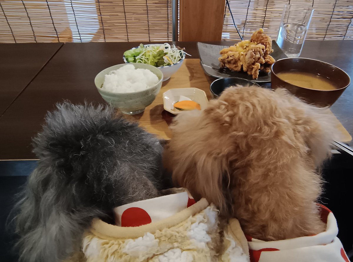 chosancoast's tweet photo. 年末以来の #ホワイトベース
銀だら西京焼きと鶏唐油淋鶏で♪
食べたいぃ?〜ダメぇw
#WHITE_BASE
#韮崎市円野町入戸野 https://t.co/AO22hBomWm