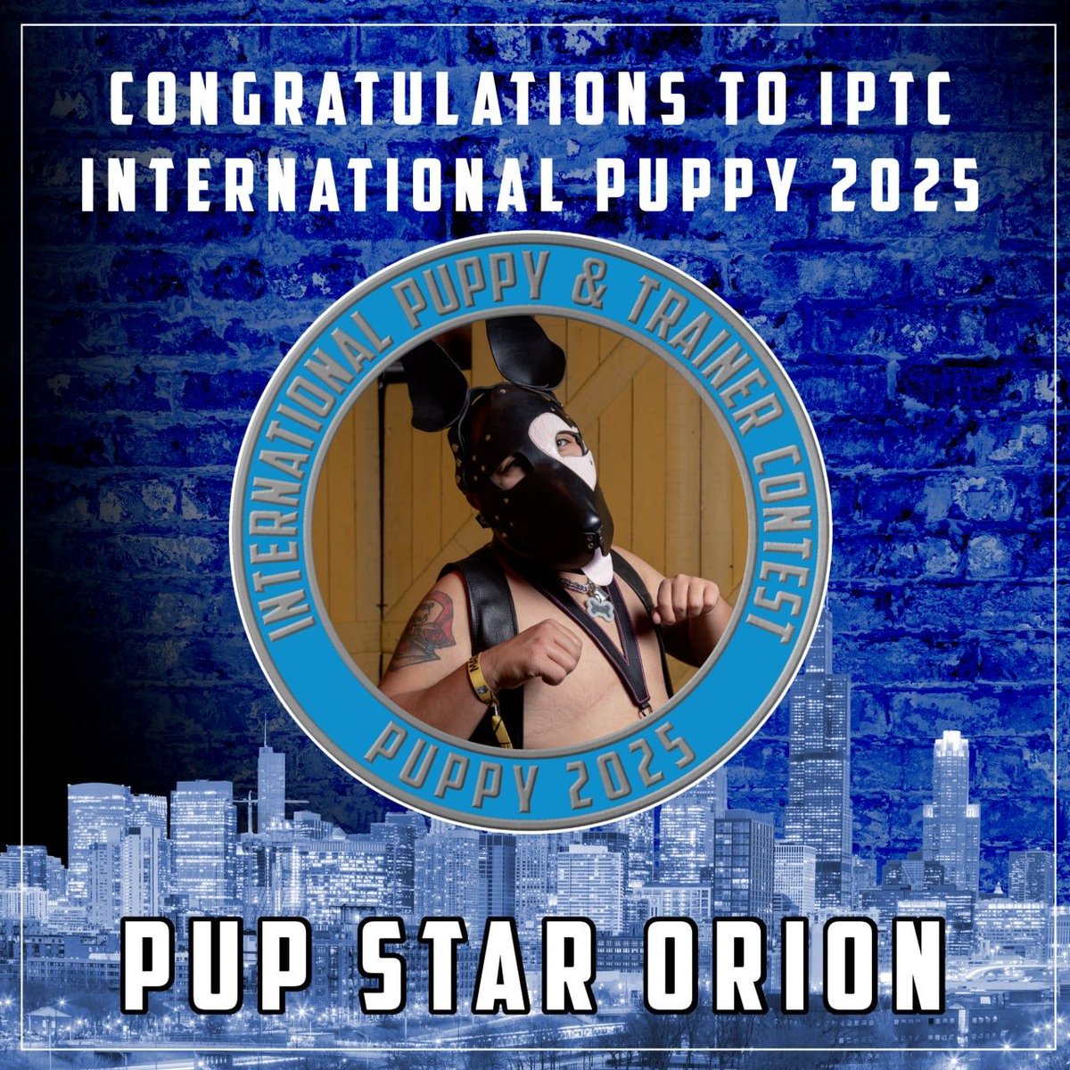 International Puppy and Trainer Contest (@intlptc) on Twitter photo 
