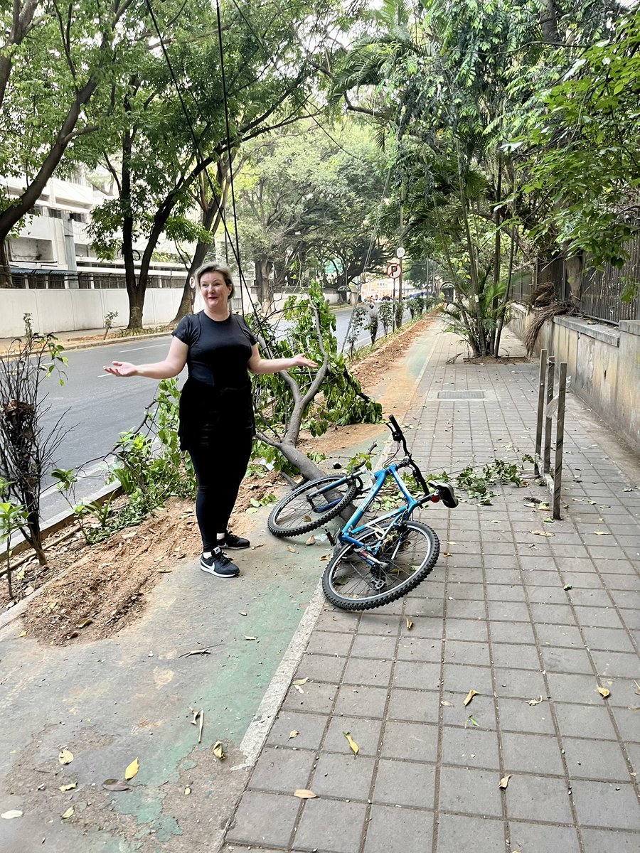 Bicycle Mayor Bengaluru - ಬೆಂಗಳೂರಿನ ಸೈಕಲ್ ಮಹಾಪೌರ (@bicyclemayorblr) on Twitter photo What is this guys? I was having such a peaceful ride What is this guys? I was having such a peaceful ride