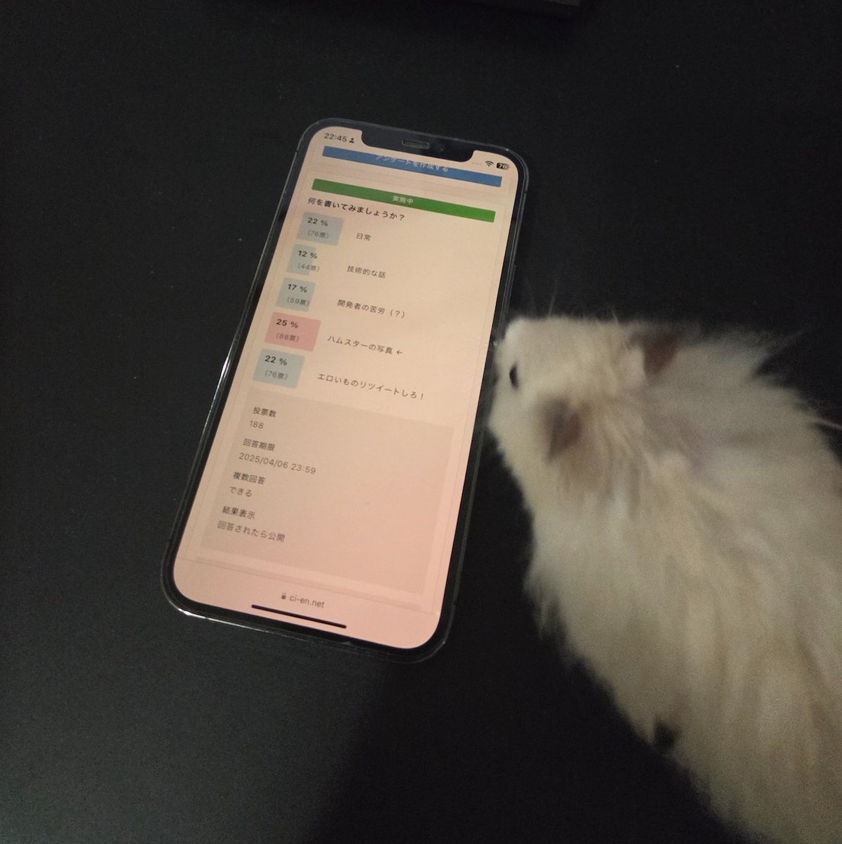 🐤「エロゲ制作者に期待するツイート1位はハムスターの写真らしいよ😓」
🐹「マジかよ。どれどれ…」