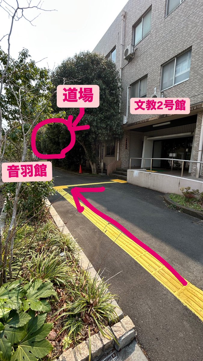 qd_ocha's tweet photo. 理学部3号館と音羽館に挟まれた道を通っていただき、student commonsの建物のある角を左に曲がります
そのまままっすぐ進んでいただくと、文教2号館の建物が見えてきますので、そちらを左に曲がり文教2号館と音羽館の間の道を通ります
そちらの道の奥に見えてきますのが道場です！ https://t.co/1u7fR5iMBJ