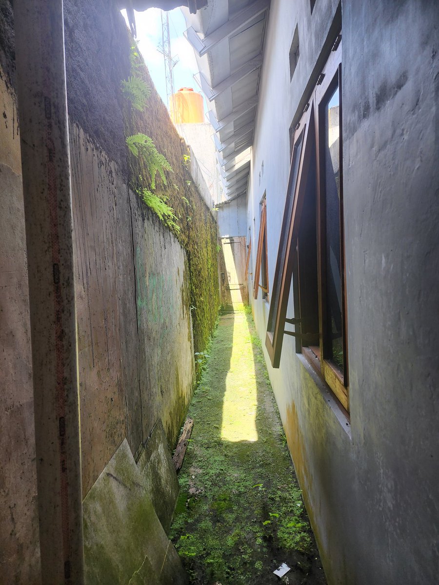 om_kenikmatan tweet media