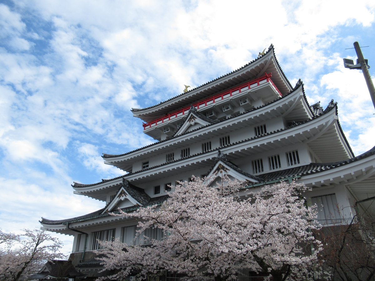AtamiCastle's tweet image. 熱海城さくら開花状況です。本日お城の前は散り始め。庭園は手前満開、奥は5分咲きです。桜まつりは本日で終了いたします。夜桜営業も本日行います。#熱海城 #熱海 #開花 #桜 #さくら #夜桜 #ソメイヨシノ #夜桜 #Atami #SAKURA #Atamicastle