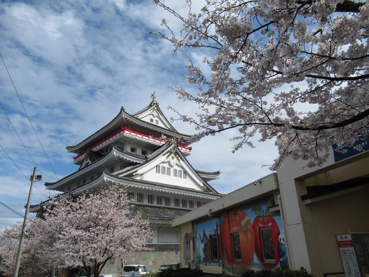 AtamiCastle's tweet image. 熱海城さくら開花状況です。本日お城の前は散り始め。庭園は手前満開、奥は5分咲きです。桜まつりは本日で終了いたします。夜桜営業も本日行います。#熱海城 #熱海 #開花 #桜 #さくら #夜桜 #ソメイヨシノ #夜桜 #Atami #SAKURA #Atamicastle