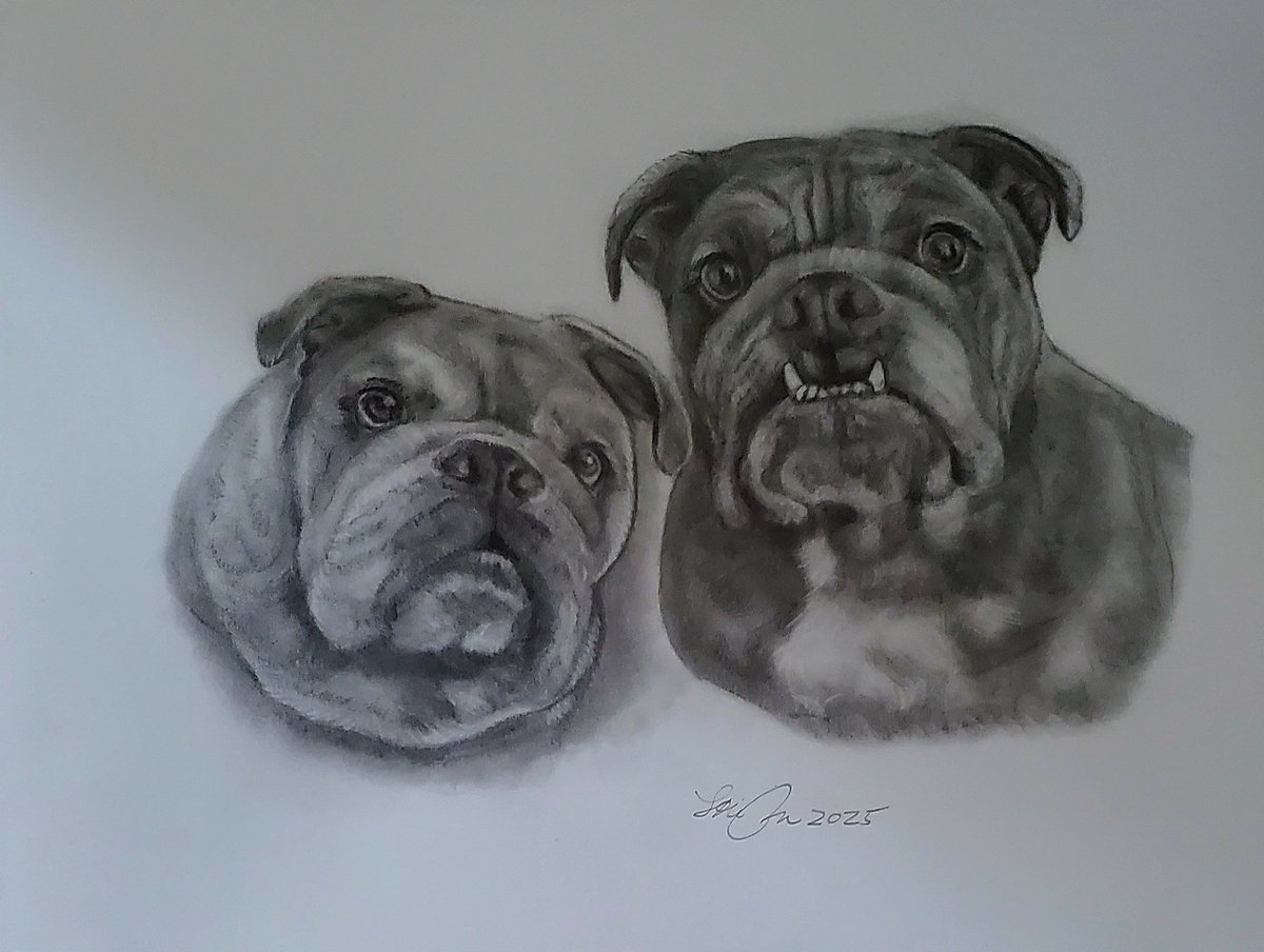 LlRobar's tweet image. 