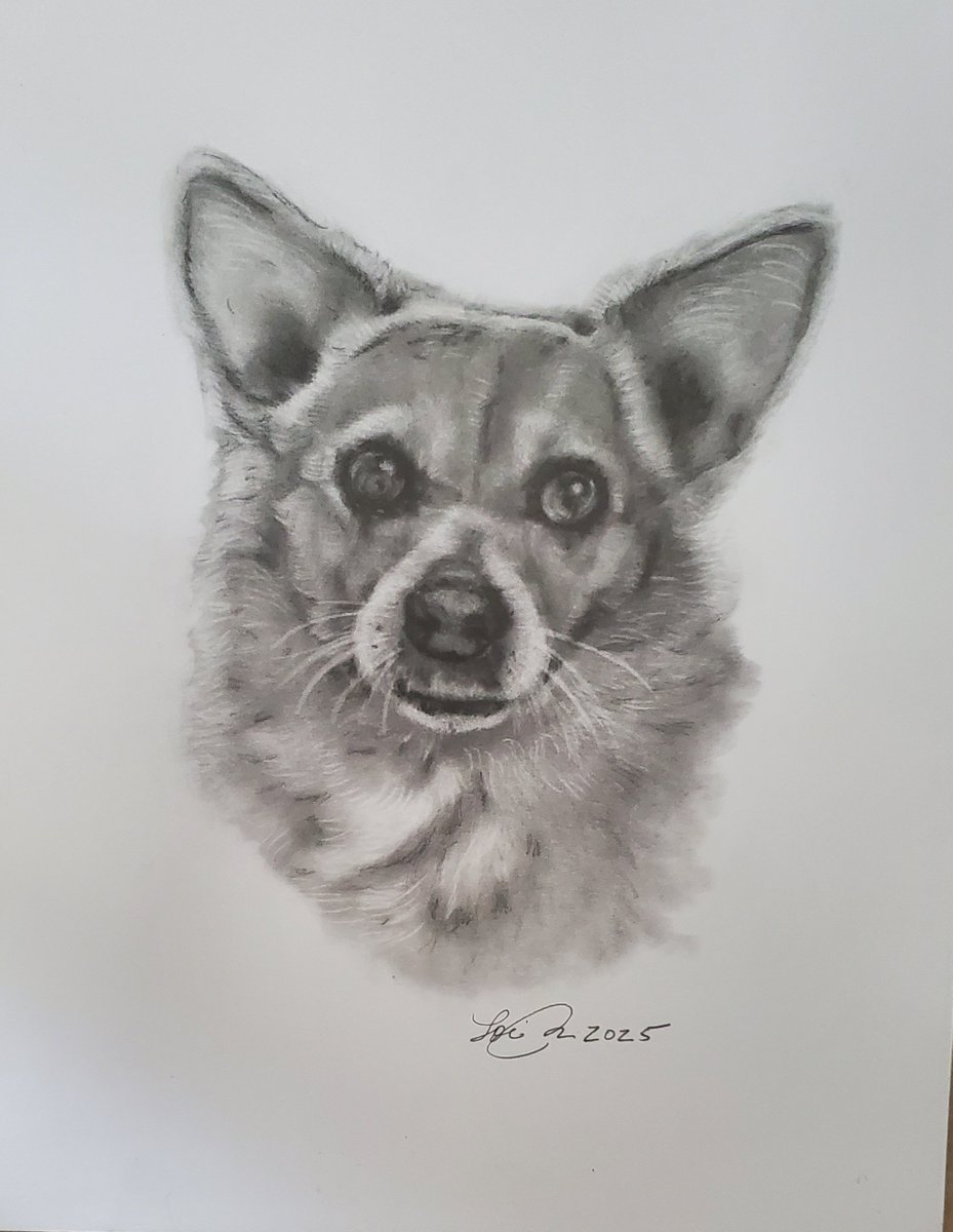 LlRobar's tweet image. 