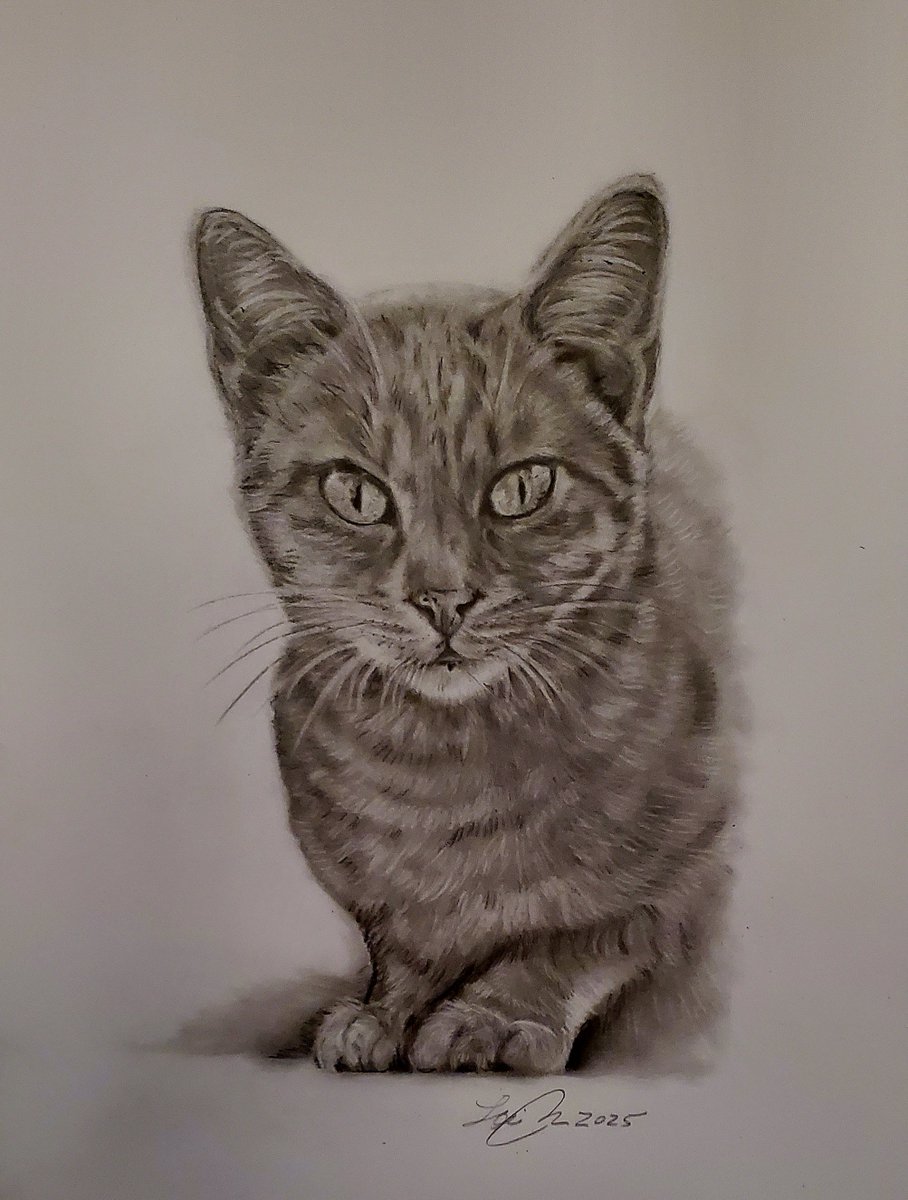 LlRobar's tweet image. 