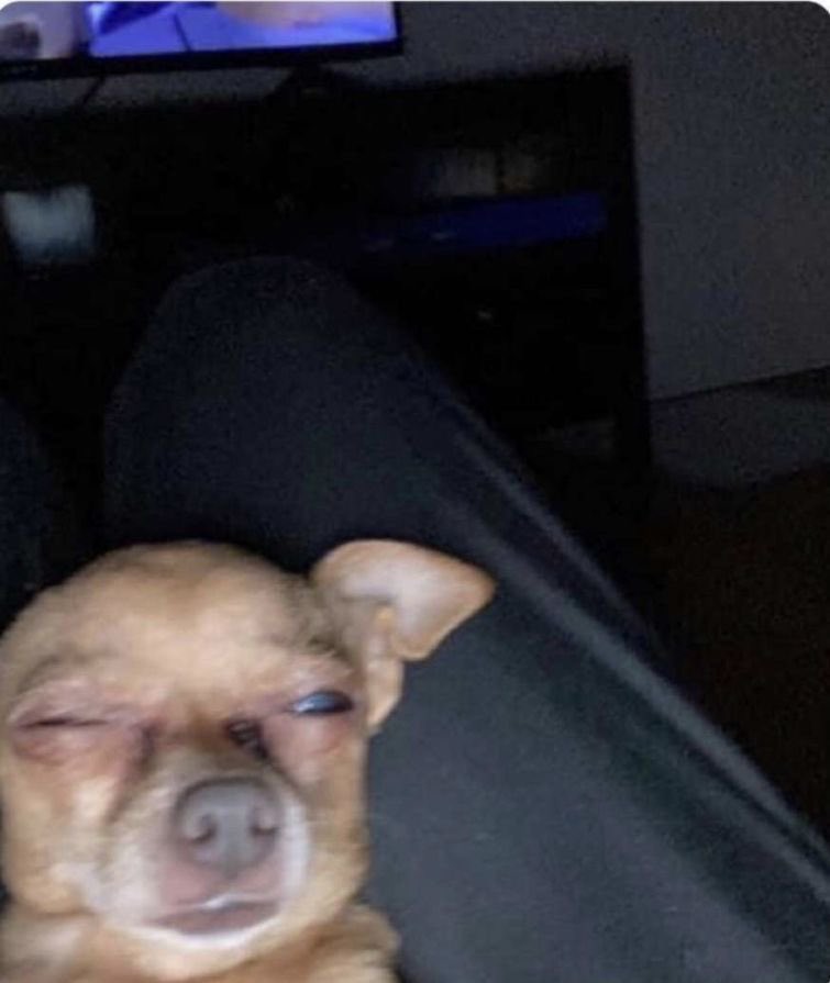 scuderiakylian's tweet image. So you’re telling me I have free will and I chose to use it to watch millionaires drive in overpriced cars at 6am