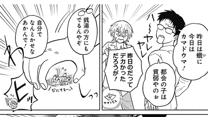 一応カマドウマも資料見て描きましたがシワシワのピカチュウみたいな顔になりました
芸人の「押すな押すな」とは違うので検索しないことをお勧めします☘️

「[3話]おかえり水平線」#ジャンププラス #おかえり水平線 https://t.co/cr4eu3TdNz 