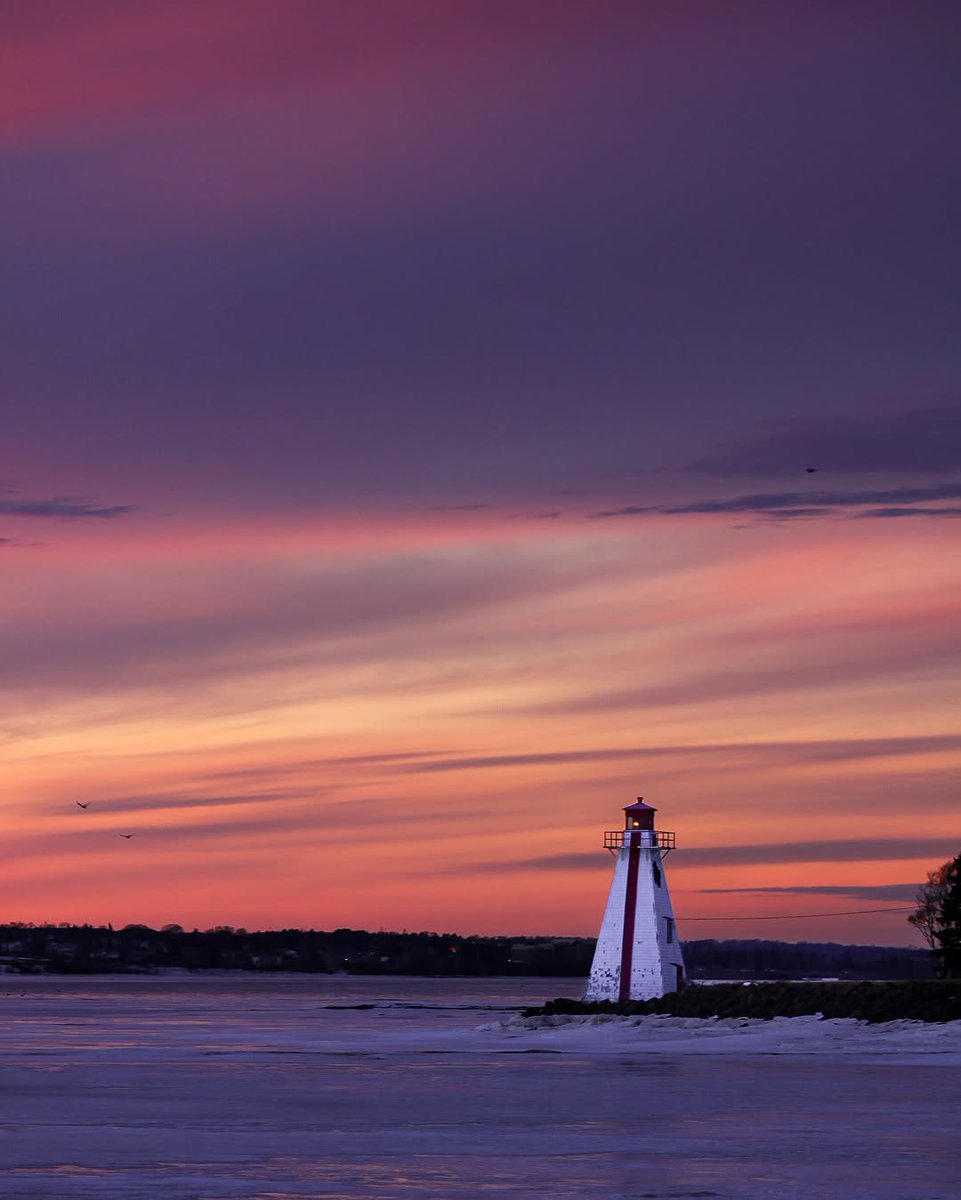 Welcome PEI tweet media