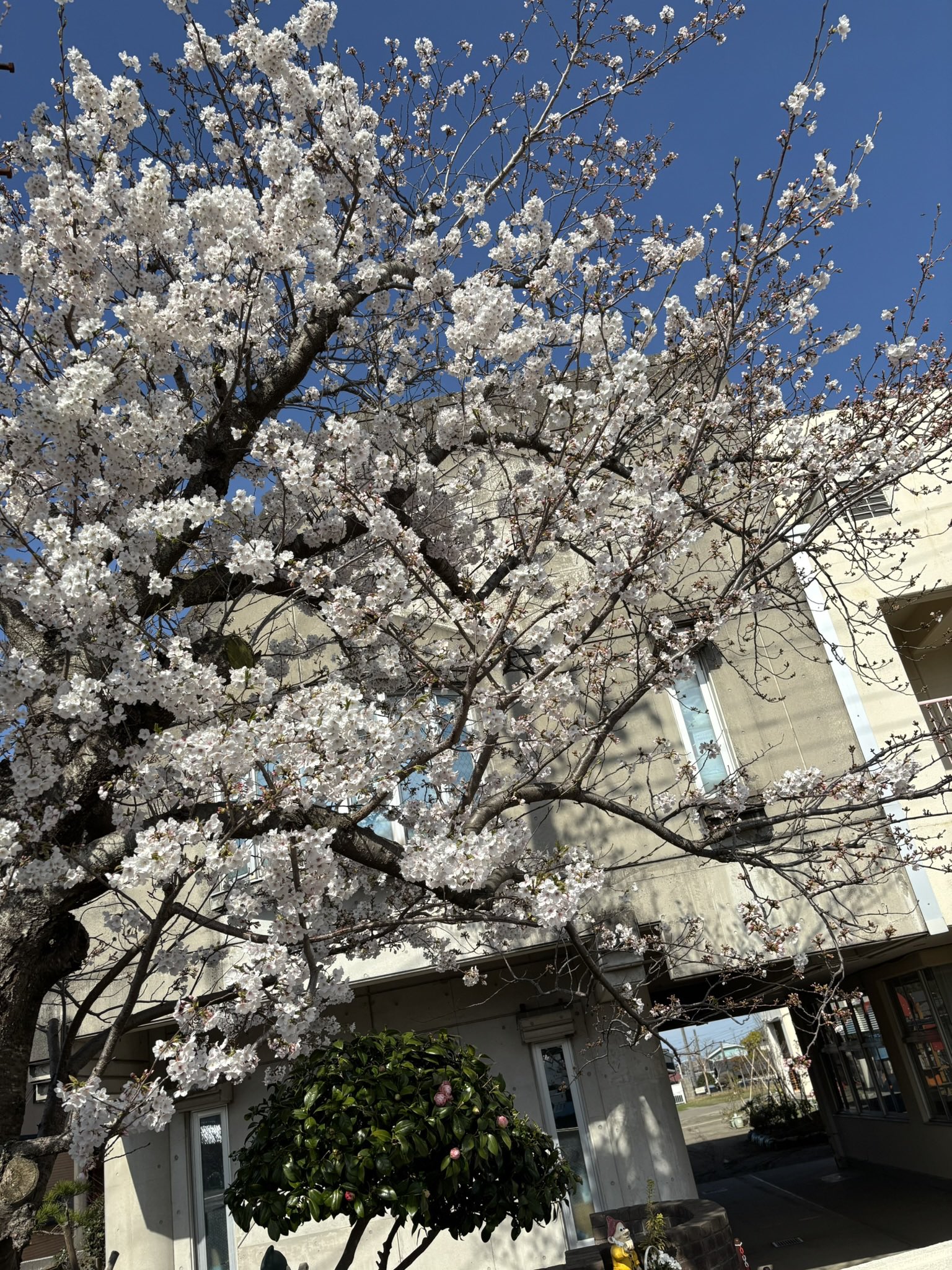 入園案内｜みどり幼稚園｜千葉県木更津市