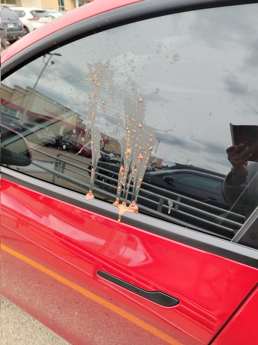 Tesla Owners Silicon Valley tweet media