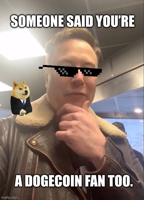 dogecoin4lif3's tweet photo. Dogecoin fan. https://t.co/PgrHdB4xwc