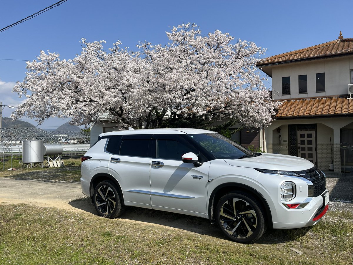 ftera01's tweet photo. 桜🌸満開
🌸吹雪‼️ https://t.co/zrHuUqUXf2