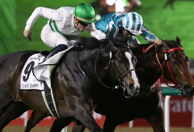 JRAVAN_info's tweet photo. 【海外競馬ニュース】【ドバイターフ】ソウルラッシュが大仕事！ 芝の不沈艦ロマンチックウォリアーを撃破
https://t.co/iaYd2OwnDU https://t.co/OifnJYBnPv