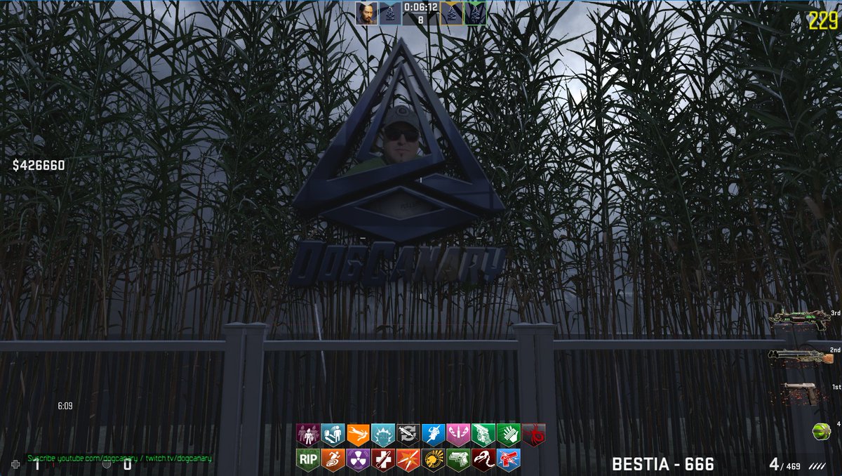 DogCanary's tweet image. Soon! #modtool #bo3