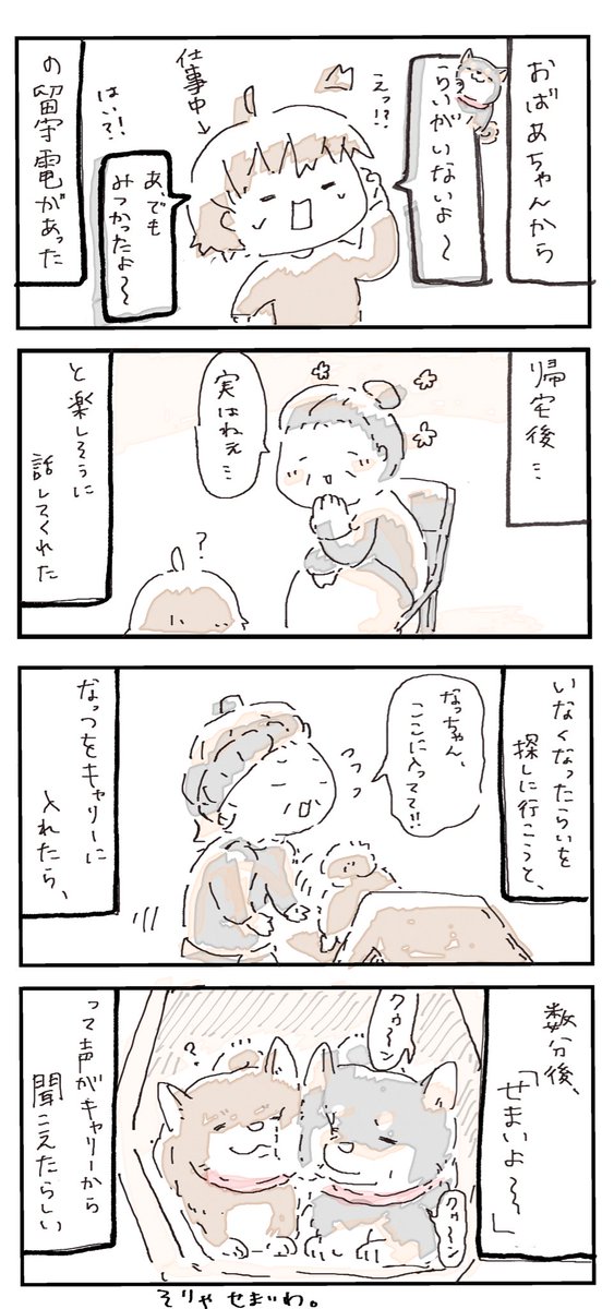 #4コマ漫画 #柴犬 #ちょっとした騒動
らいが見当たらない 