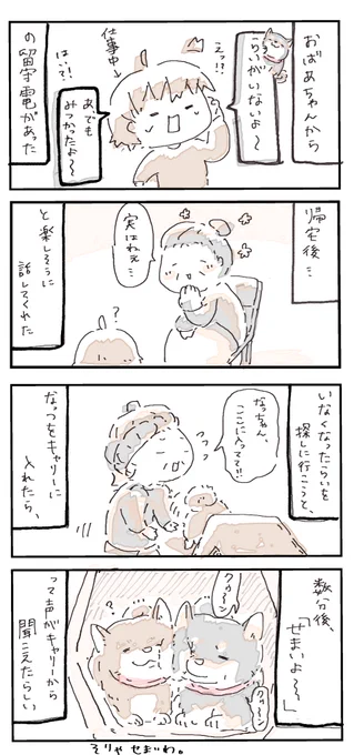 #4コマ漫画 #柴犬 #ちょっとした騒動
らいが見当たらない 
