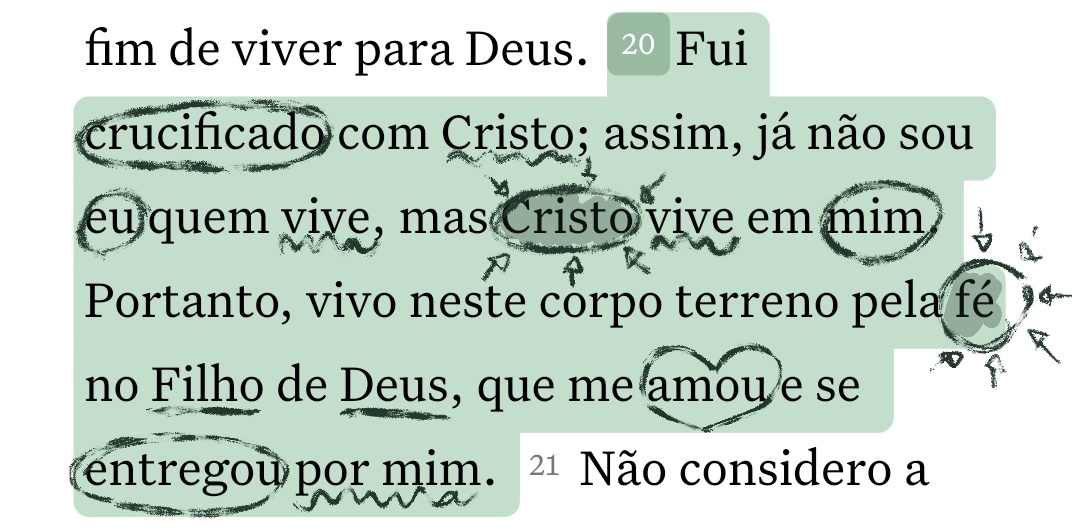 sofifi ⁵ ⚙️⚡️ tweet media