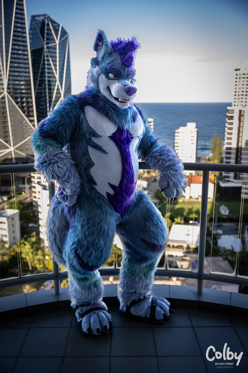 Big dad on the Gold Coast. 
📸: <a href="/colby_husky/">Colby! - colby.dog</a>