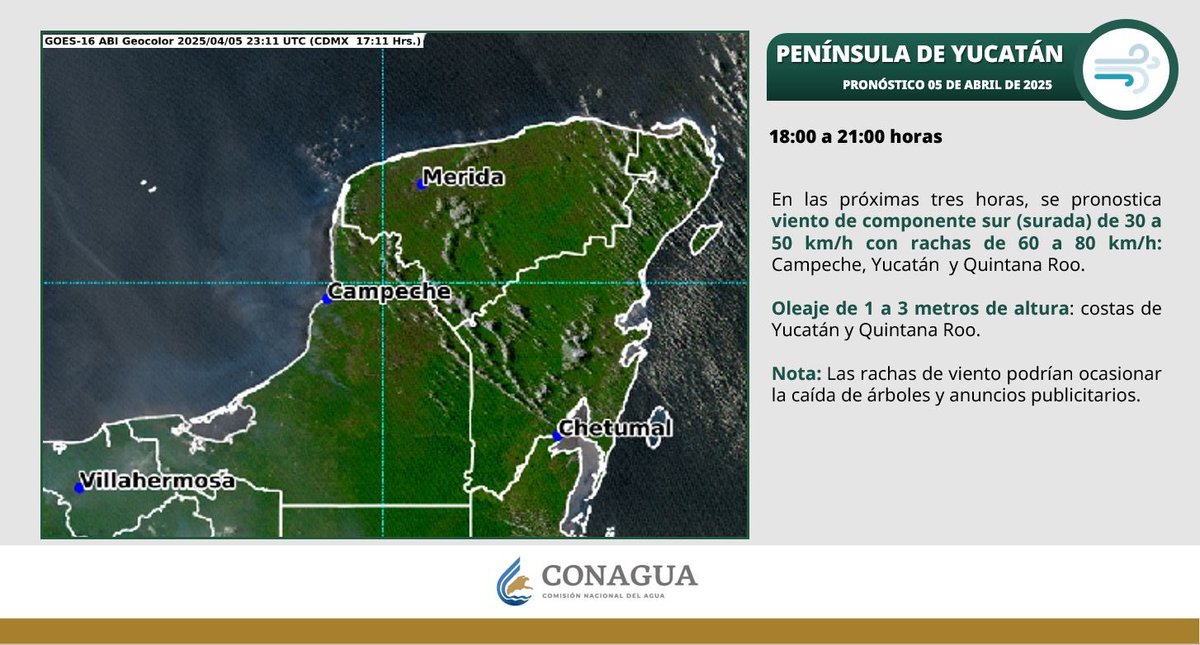 Mara Lezama tweet media