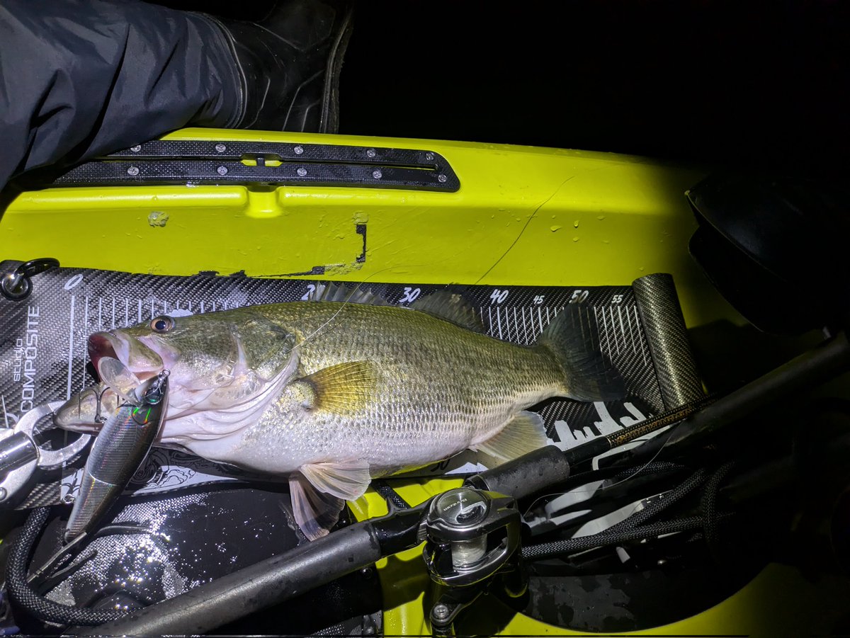 alp00317857's tweet photo. 連れと一緒にカヤック出して沖のポイントを何箇所か回り沈み物周りについてる50upをネコソギDSRにて2本

今年は沖でもおかっぱリでもビックベイトが大活躍😀 https://t.co/H65XnH4tfF