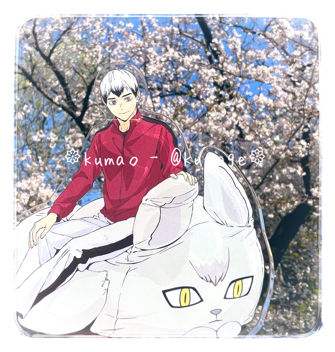 くま。 tweet media