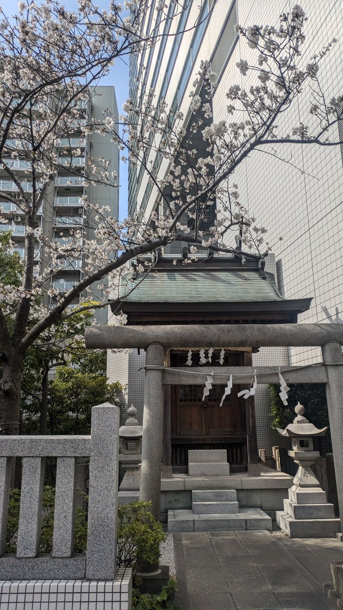 LocPic0's tweet photo. 本日桜まつりが最終日です🌸
今年の中目黒の桜ライトアップは今日だけ✨️
絶対行かなきゃ💨

中目黒の桜情報は【中目黒さくらマップ】をチェックしてね🌸
👉️https://t.co/rDbGhPetLl

#中目黒
#中目黒さくらマップ
#桜　#目黒川　#japan https://t.co/EeF7cgC2xe