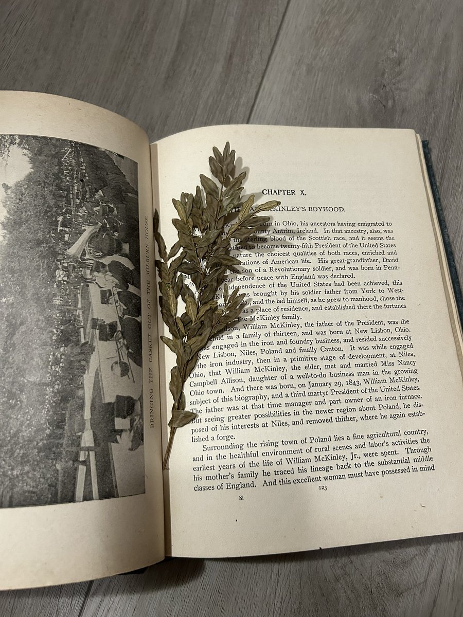 PatrickLeeD's tweet photo. Tucked inside this nearly 125-year-old book about the life and death of William McKinley, I found a photograph from his funeral procession and a delicately pressed flower. https://t.co/CiJlgMUoDY
