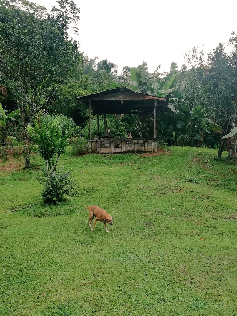 खुद पे भरोसा रखो और लग जाओ काम पे,
मां बाप के सपनों को पूरा करने में अपनी जवानी लगा दो ।

🌞Happy Sunday Good Morning 🌞