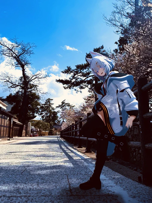 出雲大社 散歩道#フォトいの #フォトいのAR 