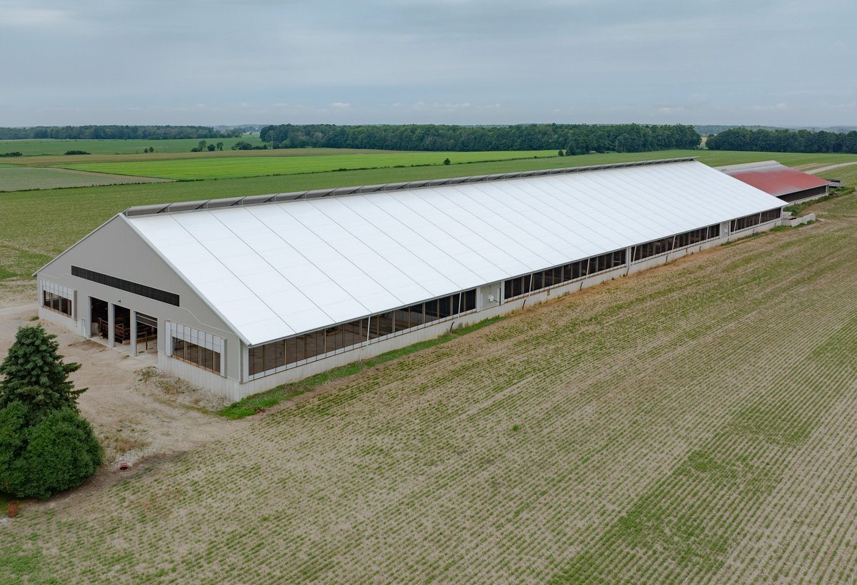A well-ventilated, naturally lit barn isn’t just a structure—it’s an investment in your herd’s health and productivity. Proper airflow reduces heat stress, improves air quality, and helps prevent respiratory issues, while bright, open spaces create a low-stress environment.