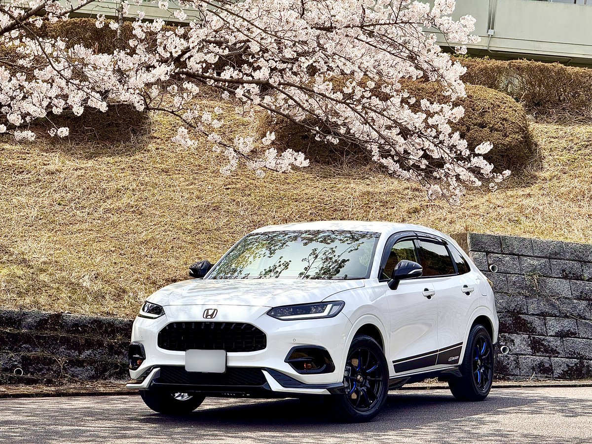 419k489k's tweet photo. いつもの場所でZRーVと桜コラボ🚗³₃🌸✨️
車入れて桜と撮影出来る所、他に無いかな😇笑
#ZRーV
#RZ6
#ZRVehev
#ZRーV無限
#無限MUGEN
#HONDA https://t.co/SIxYZe4kYE