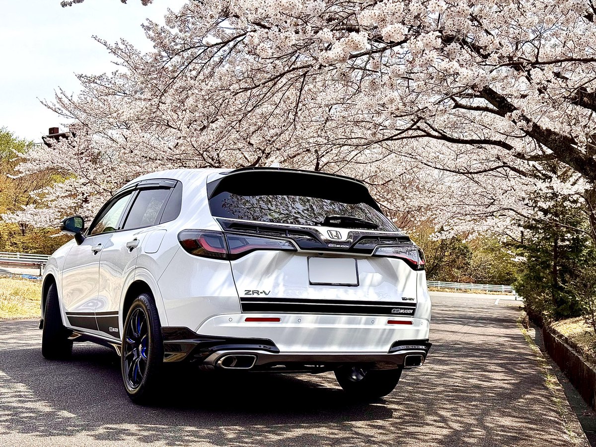 419k489k's tweet photo. いつもの場所でZRーVと桜コラボ🚗³₃🌸✨️
車入れて桜と撮影出来る所、他に無いかな😇笑
#ZRーV
#RZ6
#ZRVehev
#ZRーV無限
#無限MUGEN
#HONDA https://t.co/SIxYZe4kYE