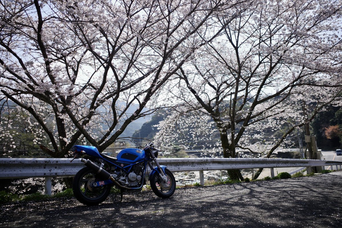 korochoi1's tweet photo. 古湯で一息☕️
1周して帰って、F1観戦だあー!
#oriori
#古湯温泉 https://t.co/KUBGpCpUrP