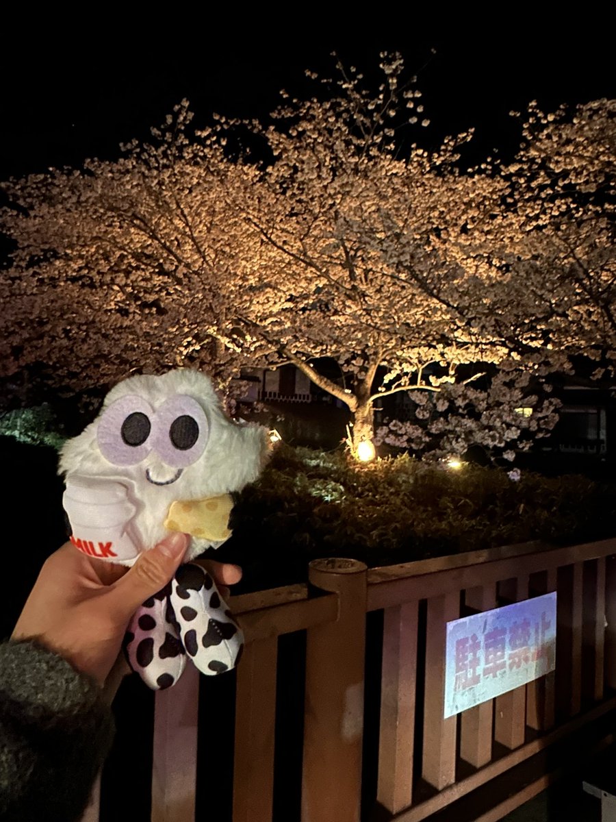 hapomaruB's tweet photo. 🌸全国からNissyへ春をお届け📣🌸

#Nissy_Re10th 全力で完走したNissyへ全国から桜のプレゼント🎁

#Nissy_Re10th最高の到達点をありがとう
#Nissyに私達から春のお知らせ
#各地の桜
#NissyへLippy_Rujju_桜

@Nissystaff97 https://t.co/wZOxvKIoYz