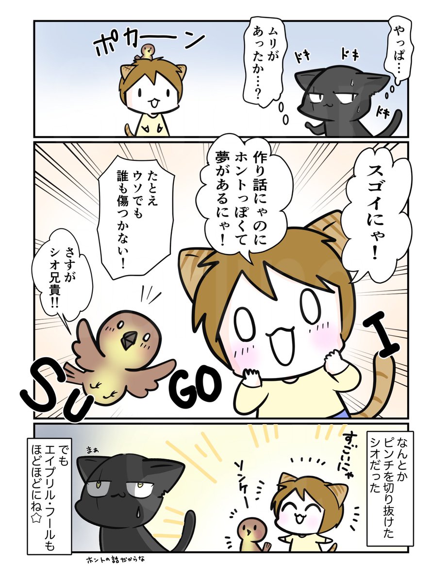 #スパダリにゃんこ
#くぅの日常 第268話
4月のフール2/2 