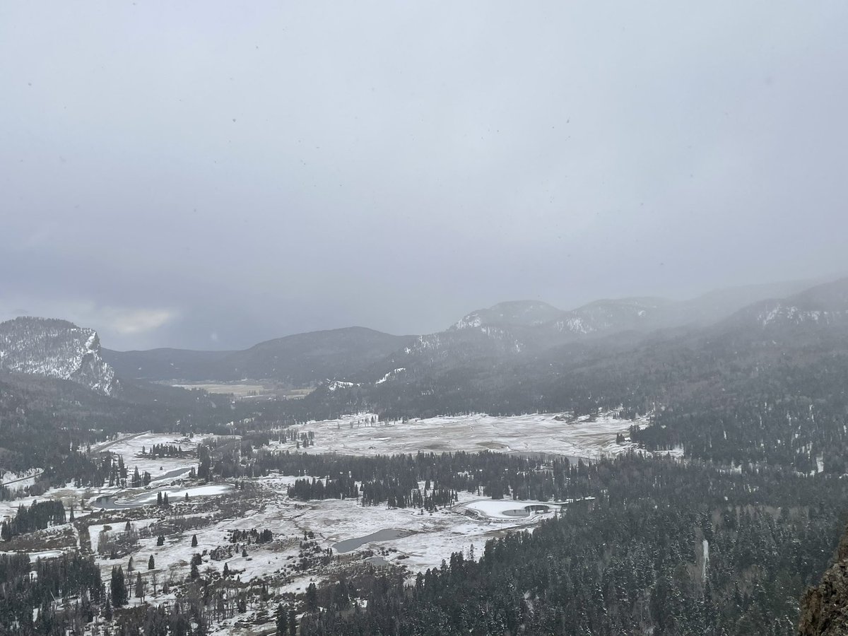 Landon K tweet media